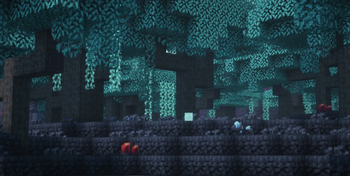 Shaded Forest