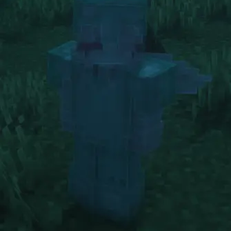 hide me armor