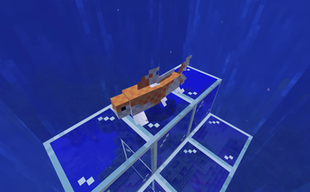 Koi and Pond Decorations — screenshot 3