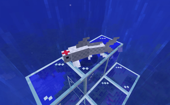 Koi and Pond Decorations — screenshot 5
