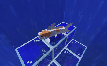 Koi and Pond Decorations — screenshot 2