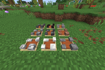 Pebbles in Item Frames