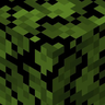 Plains Foliage Everywhere!