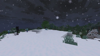 Snow