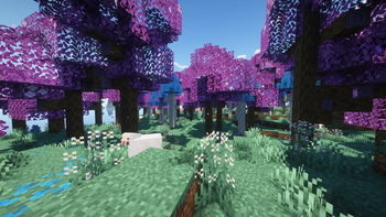 Mauve forest