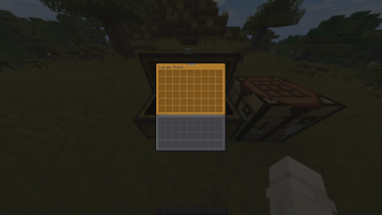 Chest showcase