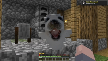 Seal Totem Popped