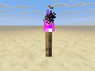 Purple Torches