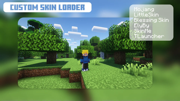 Custom Skin Loader