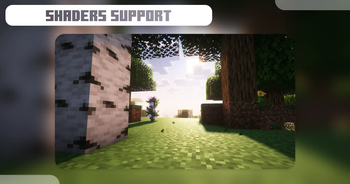 Shaders Support