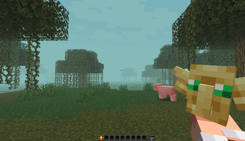 Totem in hand (WITH HOLD MY ITEMS)