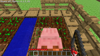 ... or a pig!
