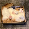 clintcrab