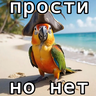 shyz1337