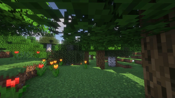 A Forest