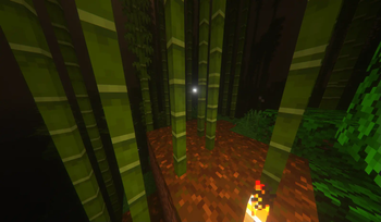 Stalking through the bamboo