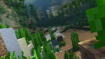 Swimming in the forest