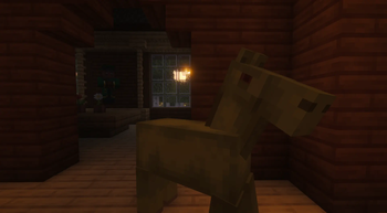 Horse