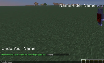 NameHider Name + undo command