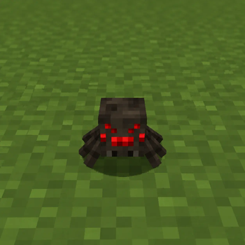 baby spider