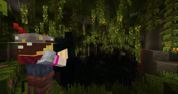 Exploration #2