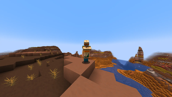 Villager on the back. (Back view)