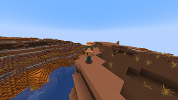 Villager on the back. (Front view)