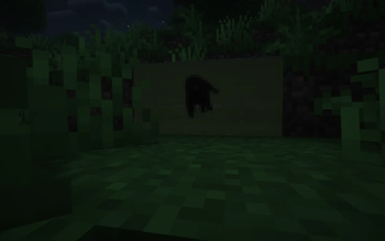 Grass kat