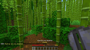 Disable elytras