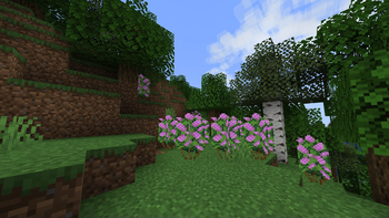 Lilac bushes