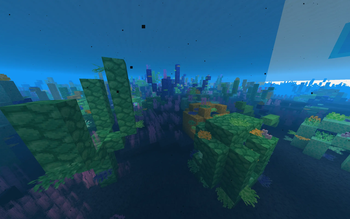 Corals