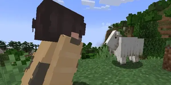 Banner patpat