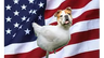 ChickenDogThing