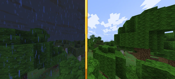 Before & After 