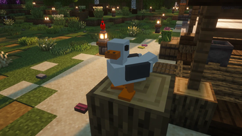 The GULL
