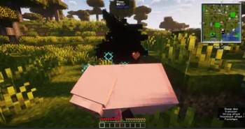 A player hitting a sheep with a Block Staff