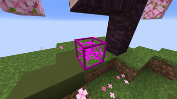 Clean cobweb