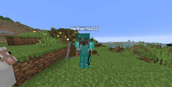 FightBot Wearing Armor 