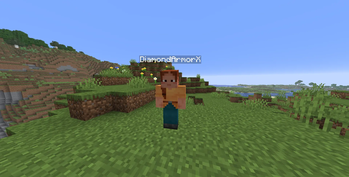 FightBot After Being Spawned
