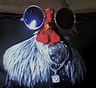 N_Chimcken