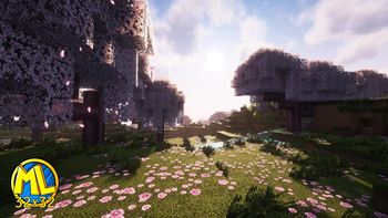 Cherry Blossom Biome