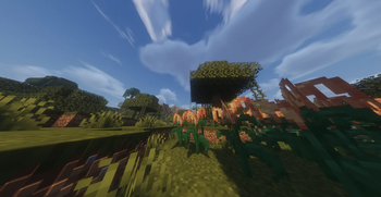 Rice swaying peacefully in a swamp!