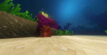 Mroew resting in a coral reef!
