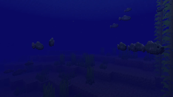 Ocean