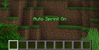 Auto Sprint Toggle