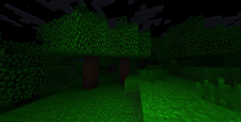 Forest-nighttime