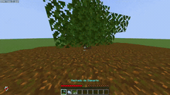 cutting down a small tree
