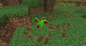 A pepper plant in a forest