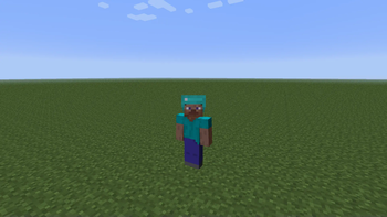 See more Steve!