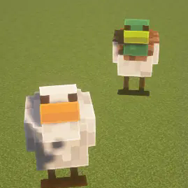 Mallard and white call duck